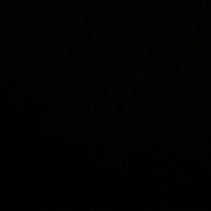 Meet your Posher, Daniela